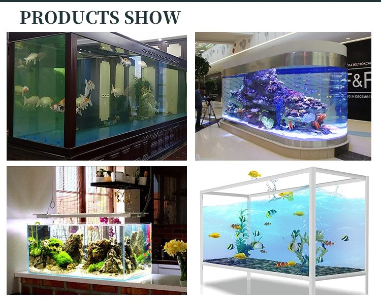 Indoor Clear Acrylic Penguin Pool for Animal Aquarium Panel