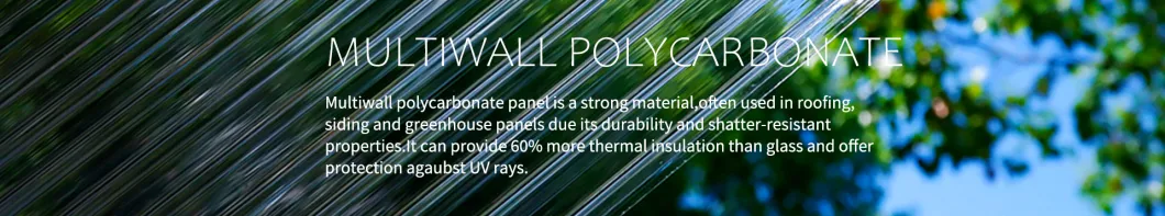 Best-Selling Anti-UV Plastic Polycarbonate Hollow Sheet for Agricultural Greenhouses