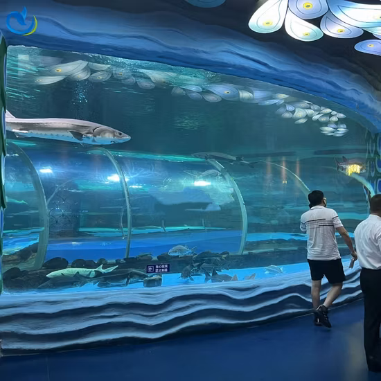 Clear Acrylic Fish Aquarium Tank Panel